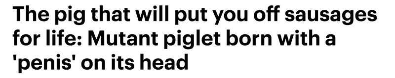 Illustration for article titled The All-Caps Words in The Daily Mail's Headlines Have Taught Me to Love LIFE Again